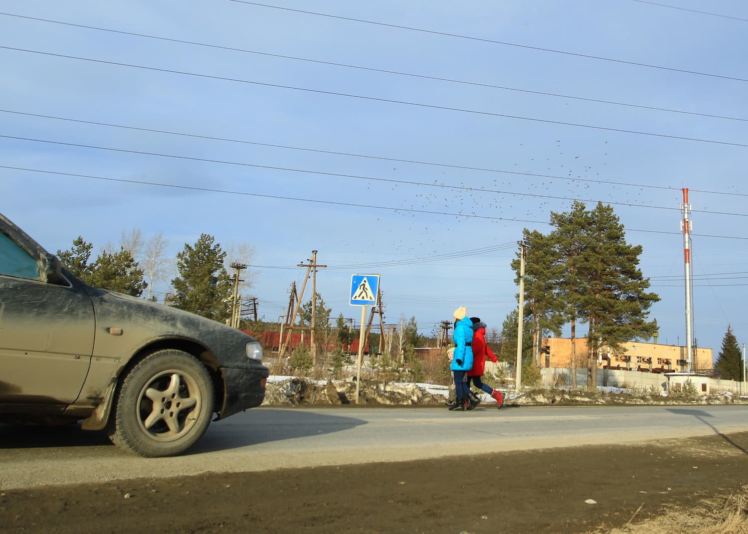 Есть пострадавшие: две иномарки столкнулись ближе к вечеру в арамильском поселке Светлом. На место вызывали спасателей...