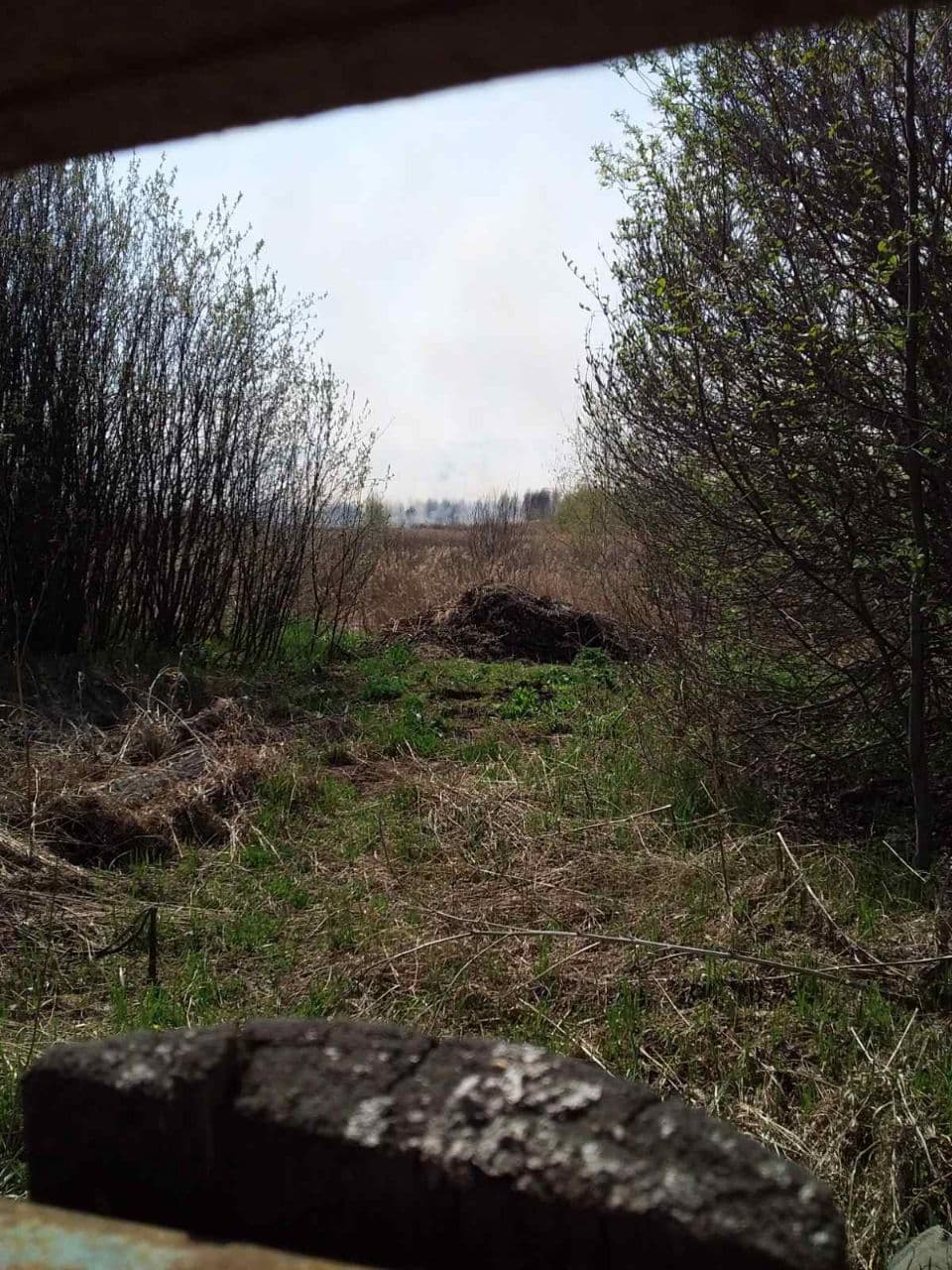 В окрестностях арамильского поселка Светлый люди заметили пожар — спасатели полагают, это результат беспечности отдыхающих