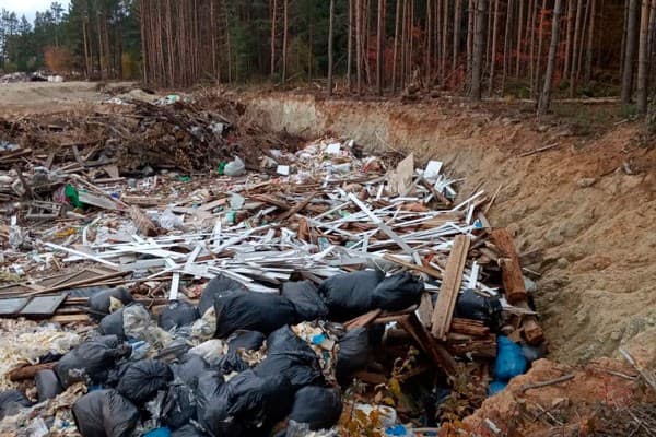 Арамильцы заметили очередную свалку и вырубку леса вокруг: показываем, как безжизненно валяются сосновые ветки среди бытового мусора