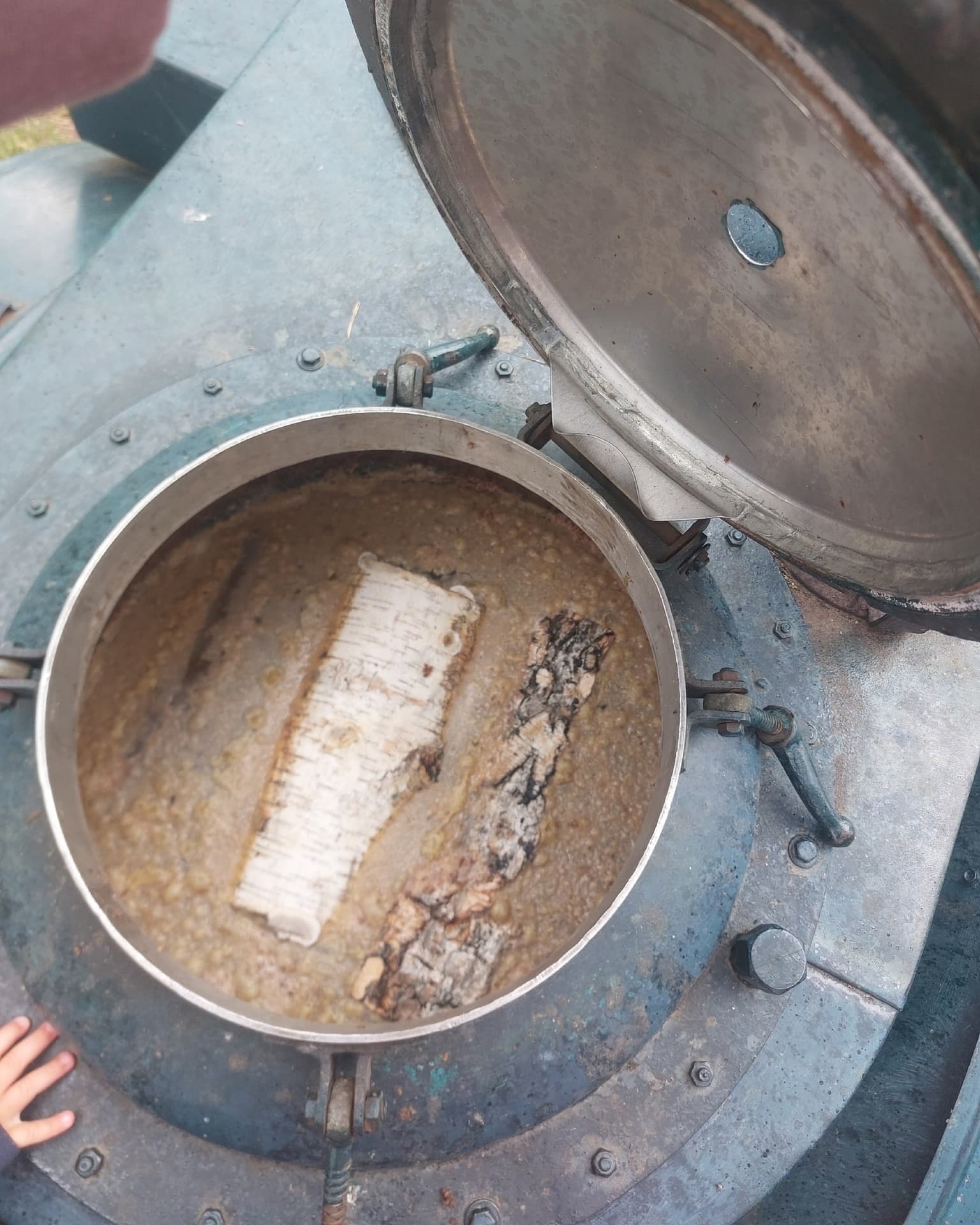 Семья из Арамиля гуляя в парке обнаружила странную находку