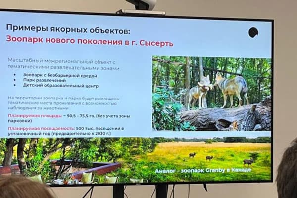 В Сысерти предложили создать безбарьерный зоопарк с дополненной реальностью