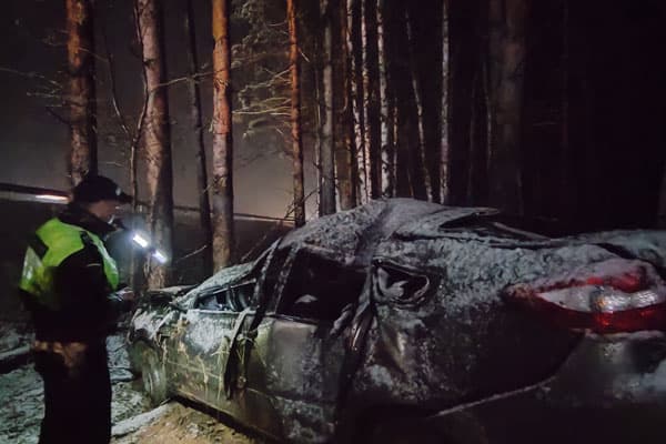 Водитель влетел в дерево! Под Екатеринбургом в ДТП погиб пассажир легковушки, двое пострадали