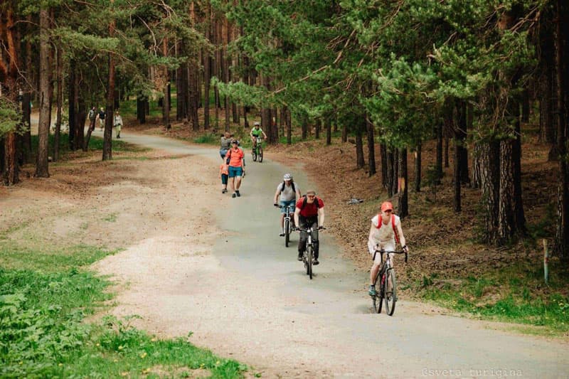Массовая оздоровительная прогулка по живописным тропам в окрестностях Сысерти: подготовлены пять маршрутов для гостей
