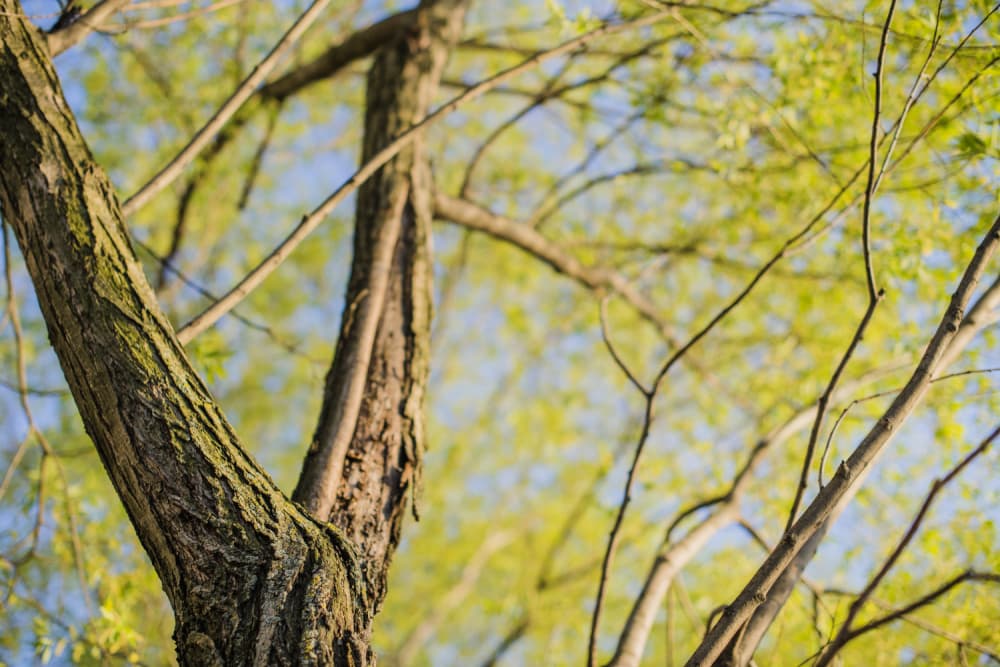 В Арамиле пройдет фестиваль «Малахитовая шкатулка»