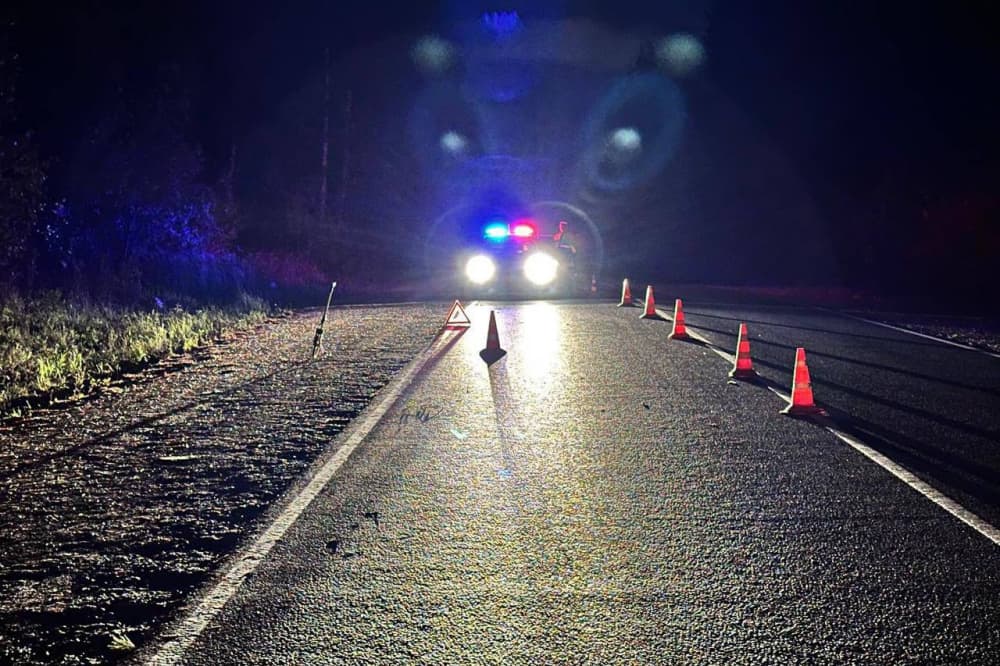 На 8 километре Арамильского тракта погиб пешеход