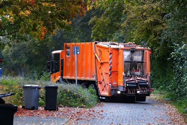 На территории Сысертского лесничества участок очистили от захламления