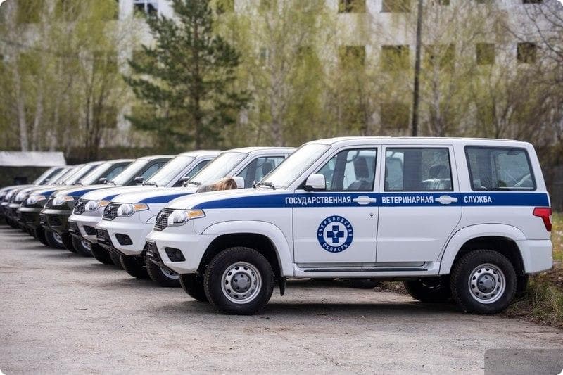 Руководителю Сысертской ветеринарной станции вручили ключи от нового транспорта